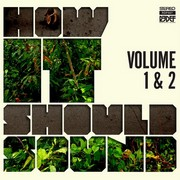 Damu The Fudgemunk – « How It Should Sound – Volume 1 & 2. »